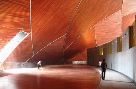 色虎看片软件水漆